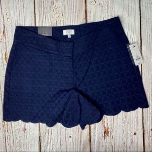 Crown & Ivy Buttercup Shorts in Navy